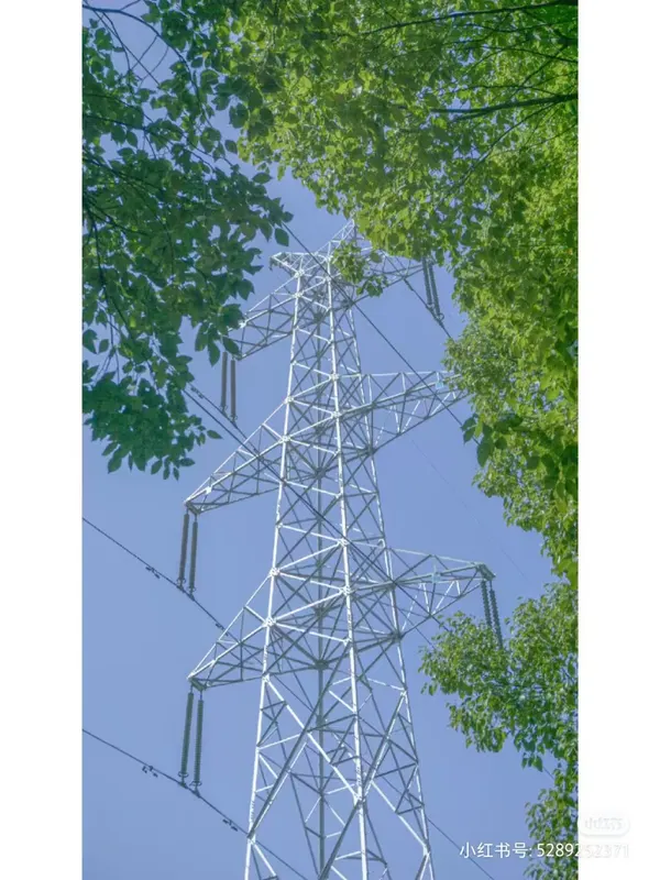 在上海，信号塔说：我好像被树绑架了。