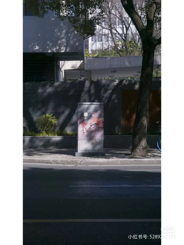 在上海，捡到一片会画画的树影。