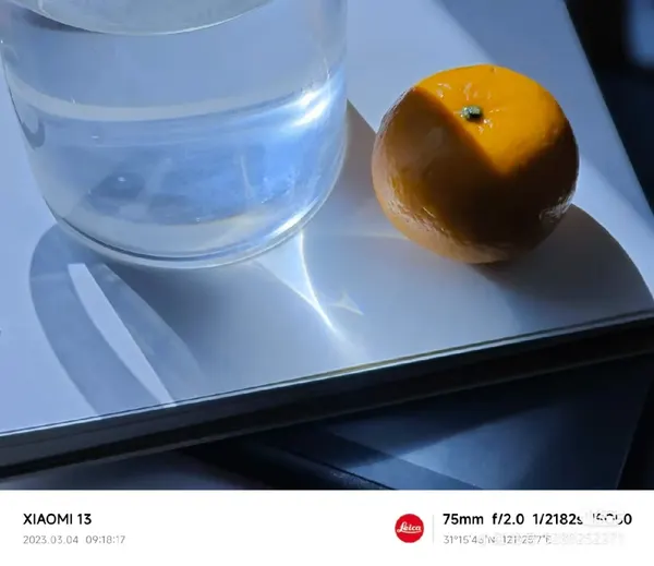 偷得浮生半日闲